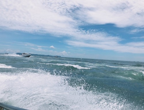 旅行看大海的唯美摘抄