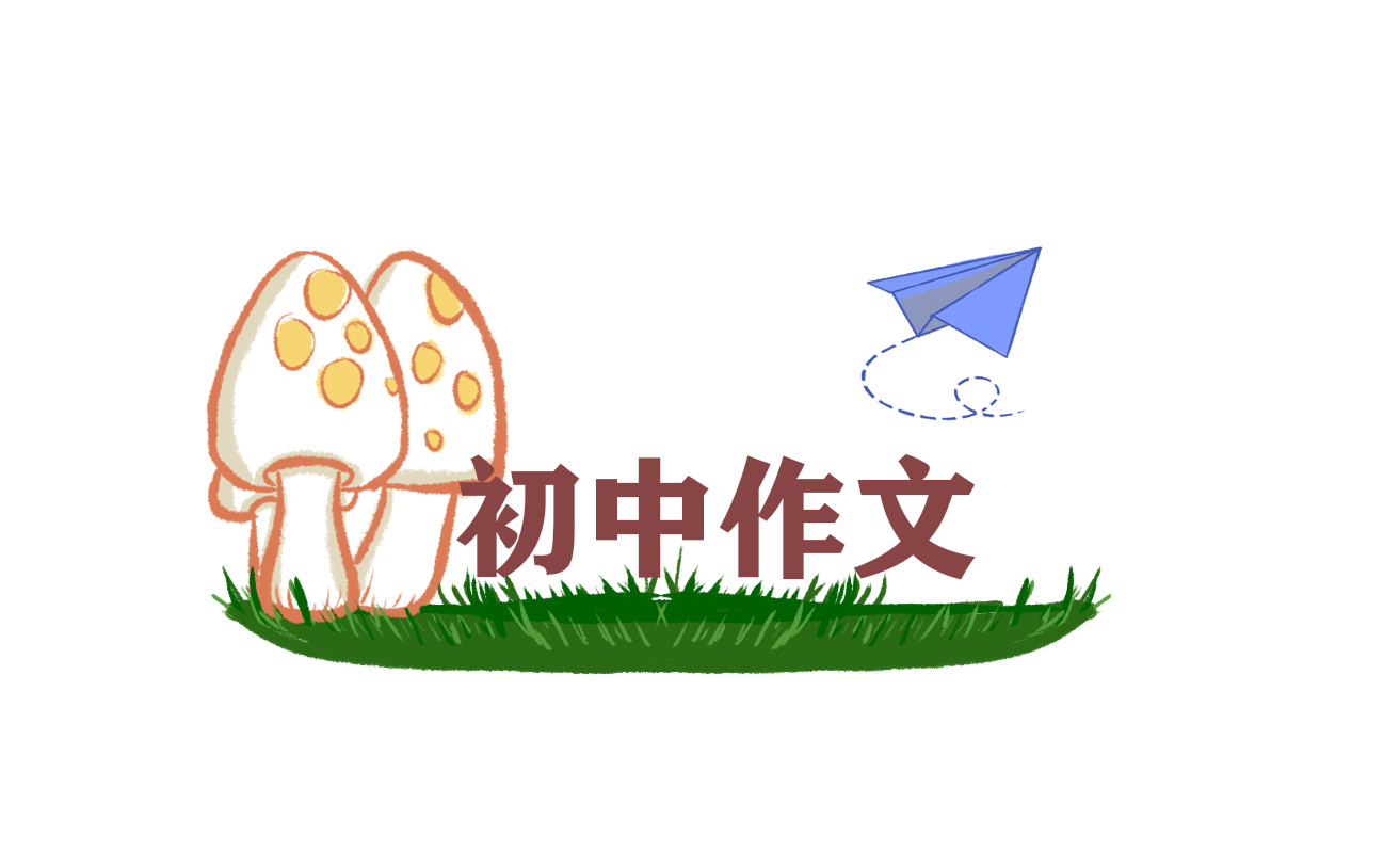 初中日记的内容