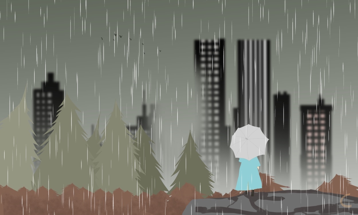 下雨的日记怎么写250字
