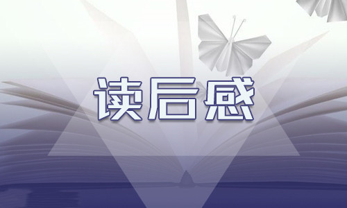 文化苦旅的读后感