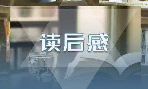 2023背影读后感大全