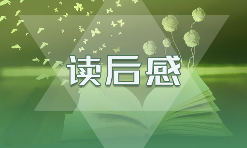 宝胡芦的秘密读后感