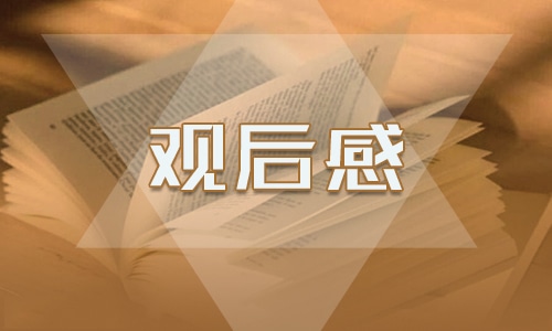 最新国家安全教育日观后感10篇