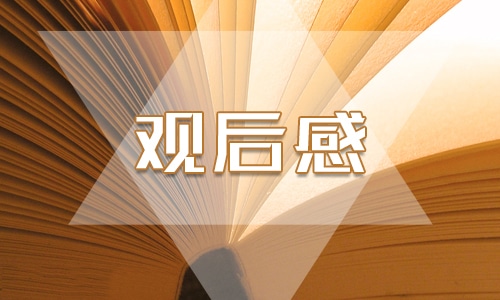 精选交通安全公开课观后感