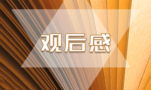 交通安全教育课程观后感