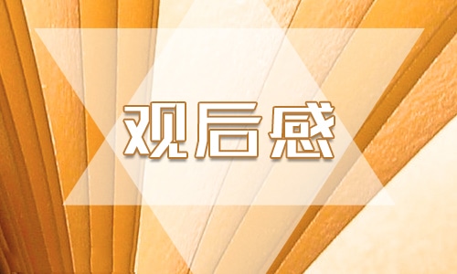 国际禁毒日活动观后感