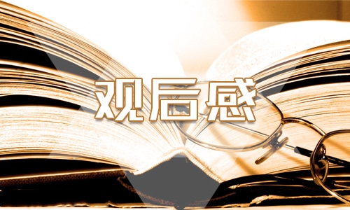 2023年躬耕教坛强国有我观后感大全