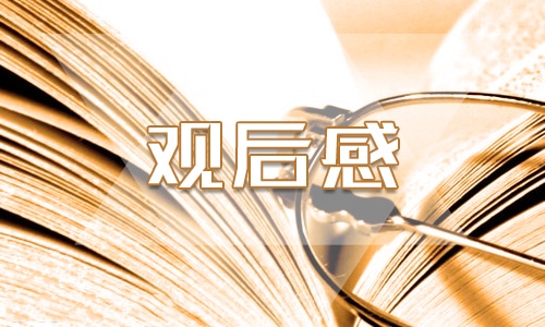 国际禁毒日宣传主题观后感