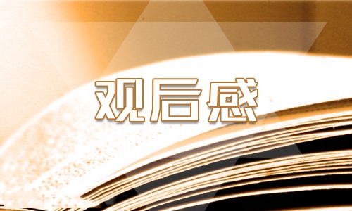 国际禁毒日个人观后感