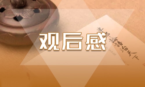 国际禁毒日主题观后感