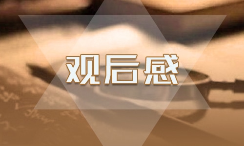 安全教育公开课观后感10篇