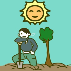 关于植树节日记
