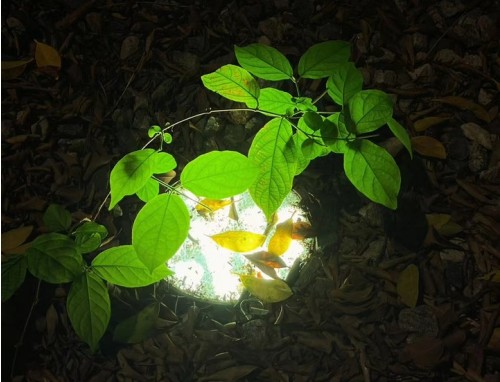 温柔治愈的微信夜景好段